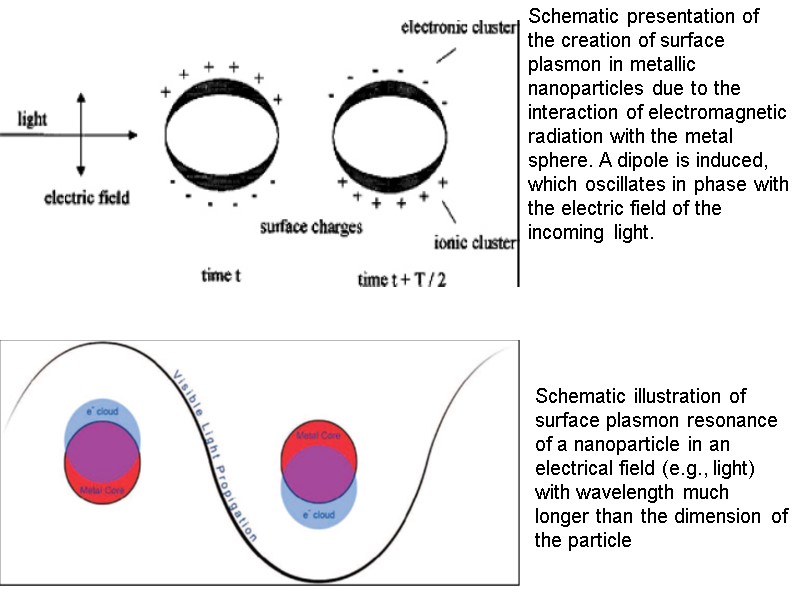 Schematic presentation of the creation of surface plasmon in metallic nanoparticles due to the